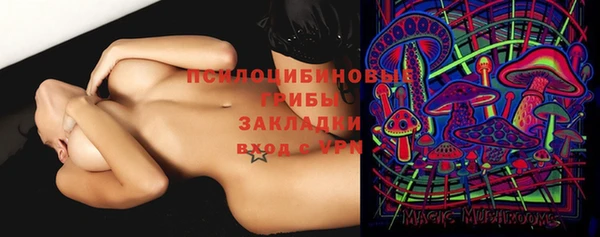 Альфа ПВП Аркадак