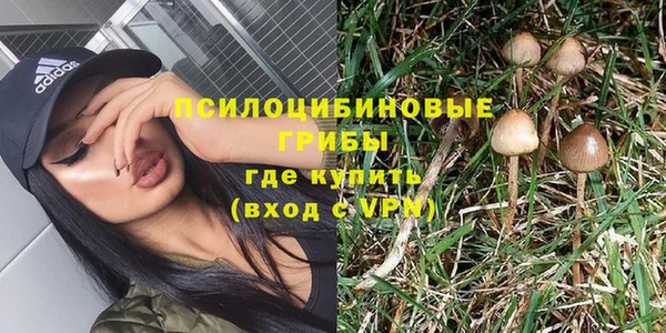 альфа пвп Армянск