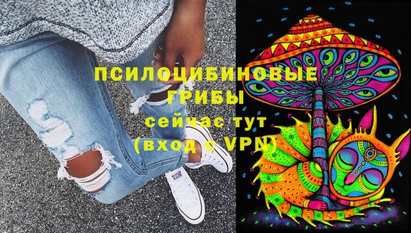 Альфа ПВП Аркадак