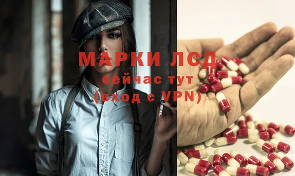 Альфа ПВП Аркадак